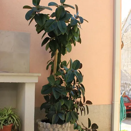 Apartments By The Sea Pisak, Omis - 7521